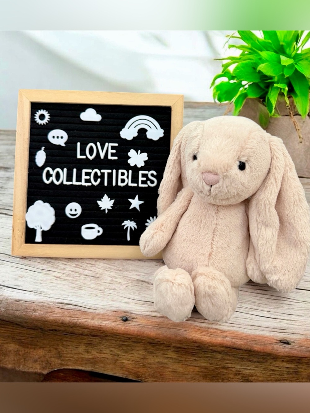 Authentic Jellycat Bashful Bunny Junior